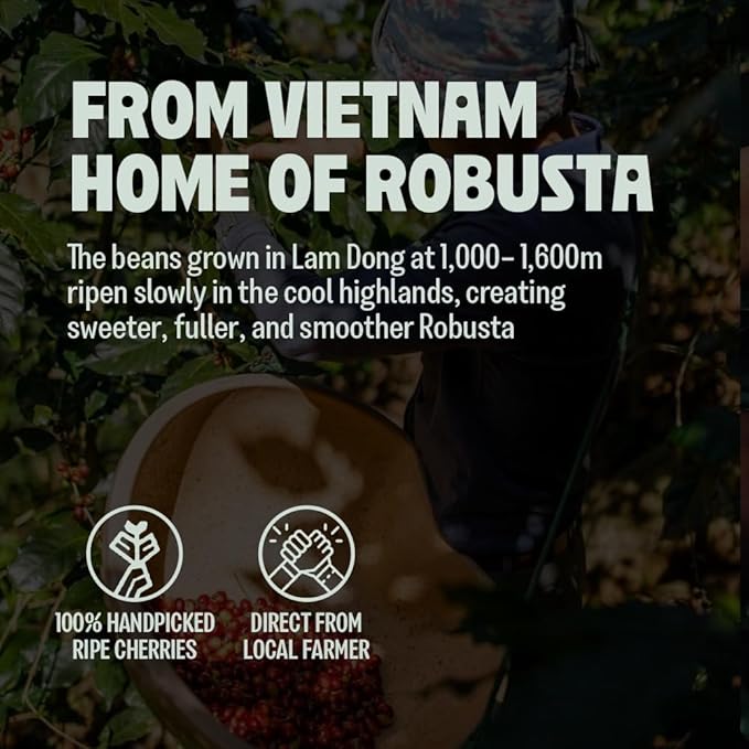 BAZAN COFFEE Too Strong, Vietnamese Robusta Whole Bean Coffee, Dark Roast, High Caffeine, Bold Espresso Flavor, Low Acidity, Perfect with Milk, 12oz Bag (12 Ounce (Pack of 1), Whole Bean)