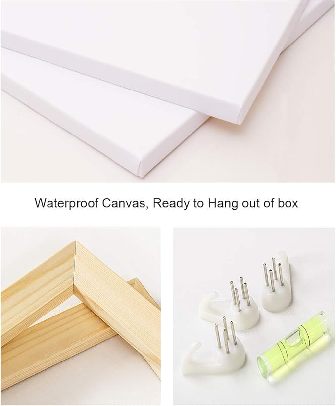 Biuteawal African American Wall Art Indian Woman Decor Photo Paintings Abstract Decorative Artwork for Home Bedroom Bathroom Framed Ready to Hang