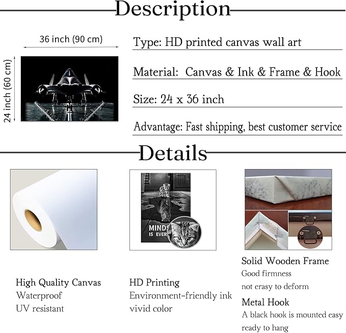 Airplane Decor Military Decor SR-71 Blackbird Poster Airplane Wall Decor Aviation Wall Art Airplane Poster Plane Decor Fighter Jet Poster Aviation Art Jet Wall Art for Home Room Decor (24''Hx36''W)