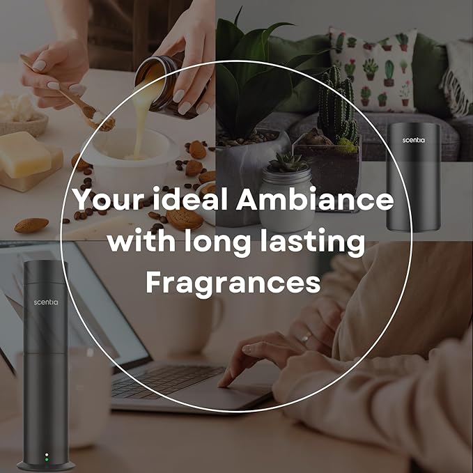 Hotel Diffuser Oil Inspired by The Ritz Carlton Hotel Scent - 50 mL 1.69 fl oz - Essential Oil Blend Botanical Jasmine, Bergamot & Fresh Marine Notes for Aromatherapy Diffusers - Cabana