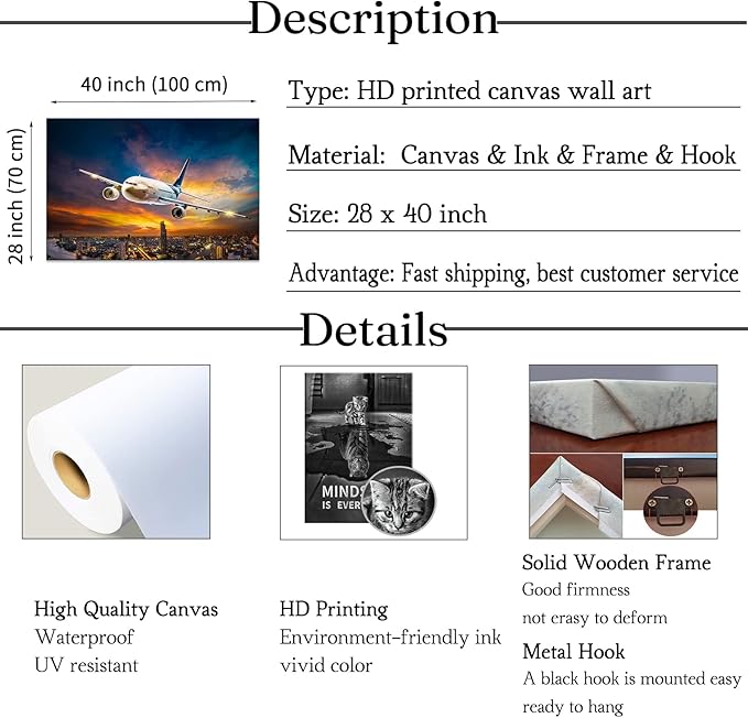 Mistyefly Airplane Canvas Wall Art with Inner Wooden Frame - Aviation Decor & Plane Themed Art for Office or Living Room - Lightweight & Easy to Hang, 28x40 Inches