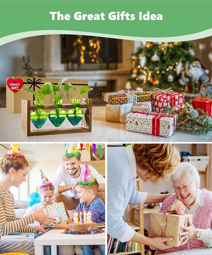 Nacome Plant Terrarium for Office Decor: Birthday Gifts for Plant Lovers Women Mom Wife - Wooden Stand Tabletop Planter 3 Bulb Glass Vase Heart Shaped for Hydroponics Indoor Home(Green)