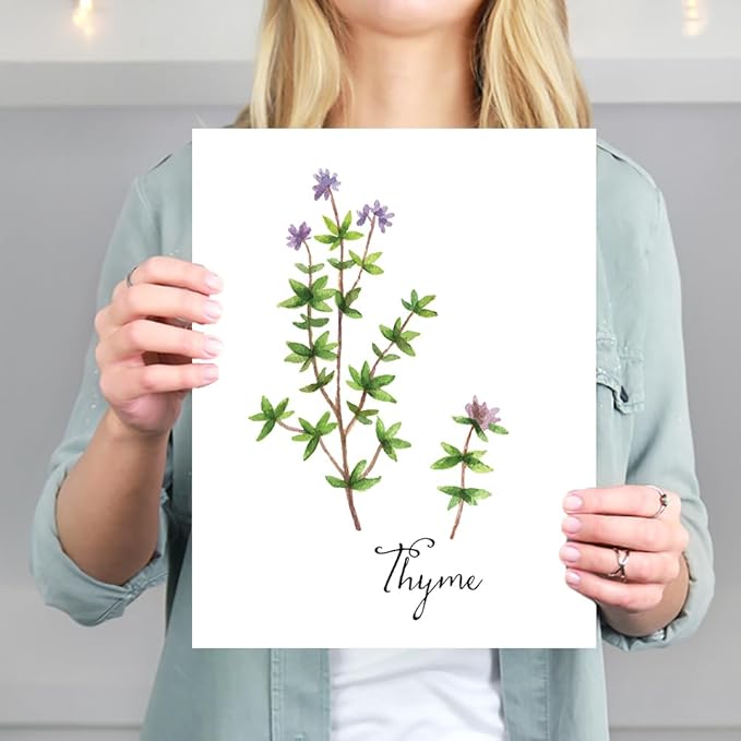 Botanical Prints Kitchen Herbs Wall Art - (Set of 6) - Unframed - 8x10s