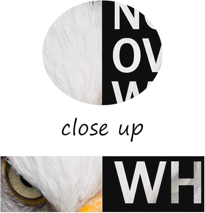 WYJZDZQ8 Animal Motivational Canvas Office Print Wall Art Eagle Inspirational Picture Animal Poster Painting Modern Inspiring Artwork for Home Living Room Office Decor Ready to Hang [12''W x 18''H]