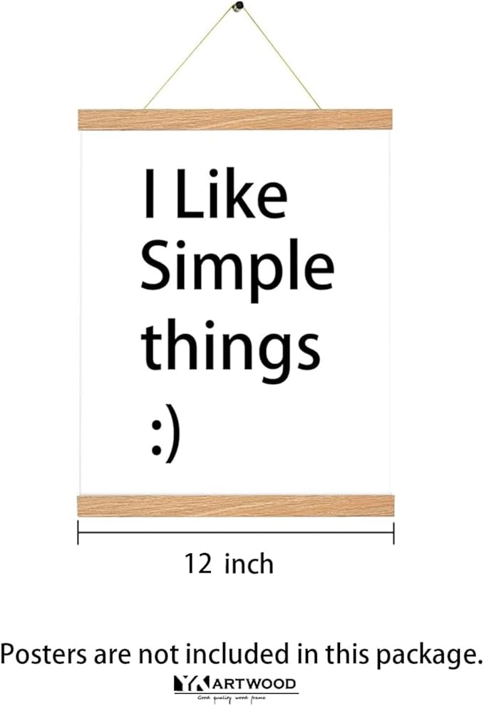 4 Pack Magnetic Poster Hanger Frame 16 inch Black- 16x24 16x22 16x20 Poster Frame for Wall Art Pictures Photos Prints Maps Diamond Art Painting