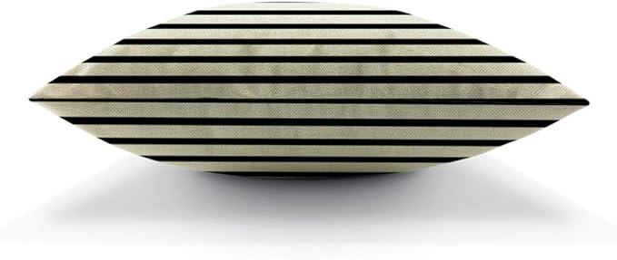 AOYEGO Black and White Stripes Throw Pillow Cover Artistic Streaks Backdrop Classic Endless Lines Pattern Pillow Case 18x18 Inch Decorative Men Women Room Cushion Cover for Home Couch Bed