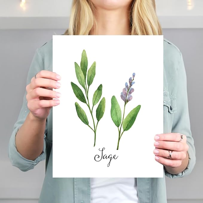 Kitchen Herbs Art Prints (Set of 6) - Unframed - 11x14 | Botanical Prints Wall Art | Kitchen Wall Décor | Kitchen Décor for Adding a Touch of Freshness to Your Kitchen Décor | Botanical Wall Art