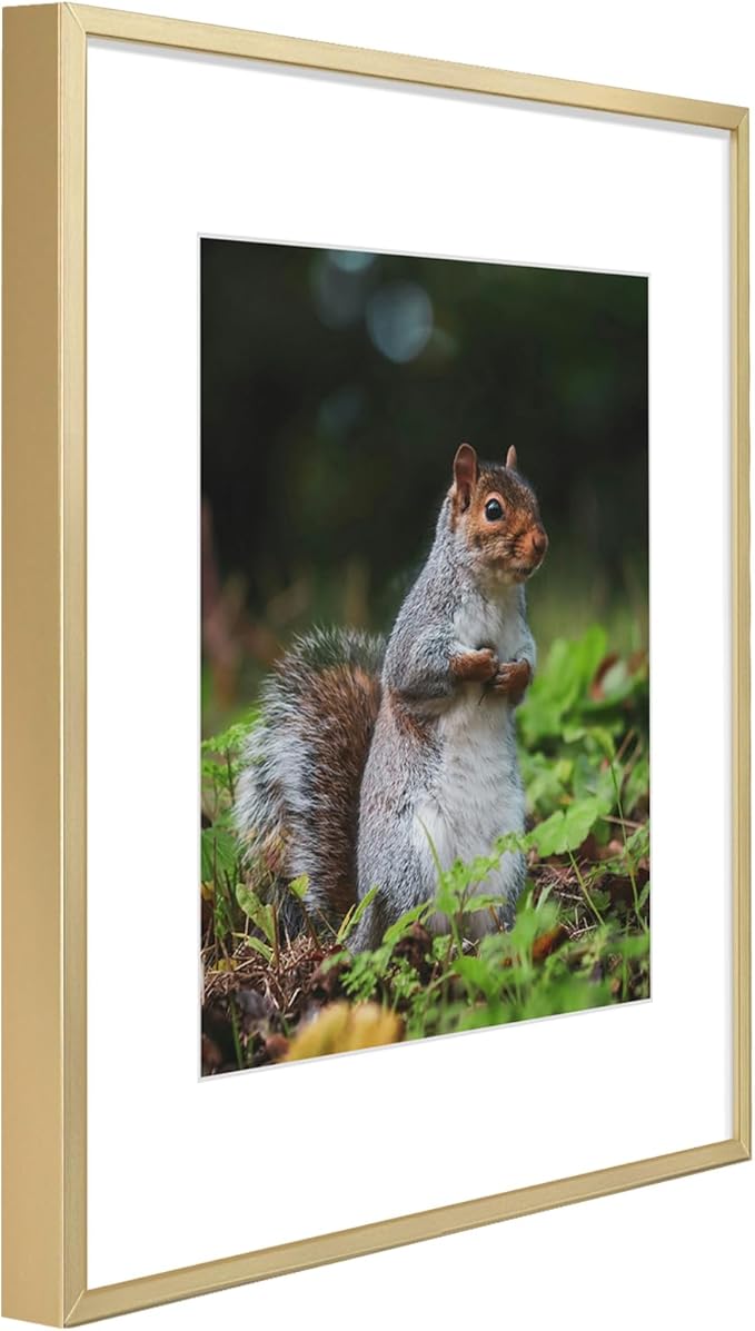 Golden State Art 12x16 Picture Frame 3 Pack - Aluminum Frames with 8.5x11 Removable Mats & Real Glass, Display 12x16 Posters or 8.5x11 Photos - Gold Gallery Wall Frames for Home Office Decor