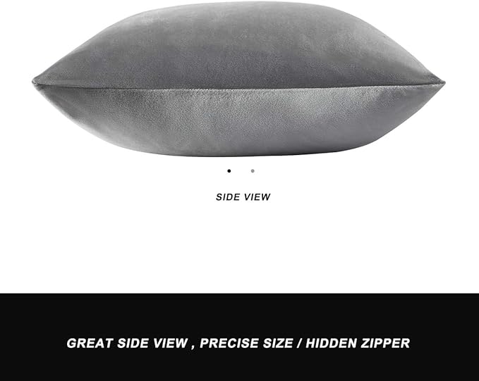 GIGIZAZA Decorative Throw Pillow Covers 16 x 16, Deep Grey Soft Pillow Covers Velvet,Set of 4 Decor Square Cushion Covers