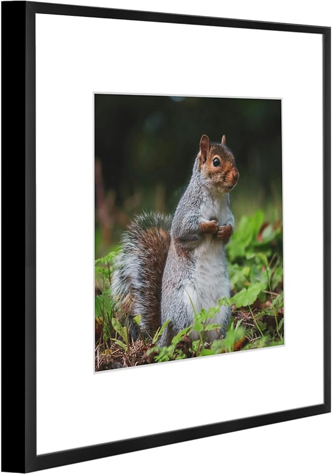 Golden State Art 12x12 Picture Frame 3 Pack - Aluminum Frames with 8x8 Removable Mats & Real Glass, Display 12x12 Posters or 8x8 Photos - Black Gallery Wall Frames for Home Office Decor