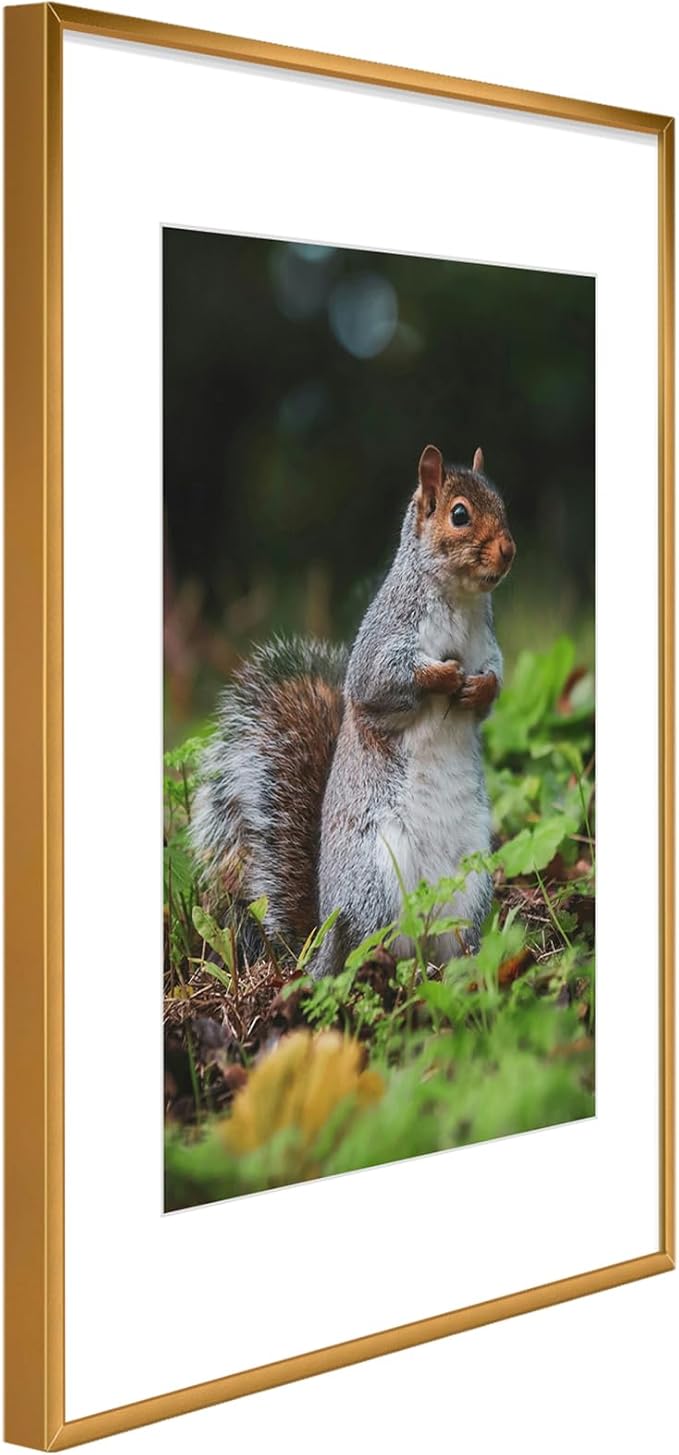 Golden State Art 16x24 Picture Frame 3 Pack - Aluminum Frames with 12x18 Removable Mats & Real Glass, Display 16x24 Posters or 12x18 Photos - Bronze Gallery Wall Frames for Home Office Decor