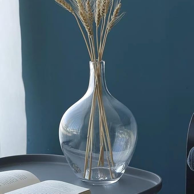Clear Glass Vase for Pampas Grass Flowers Clear Vase for Decor Small Glass Vase for Dining Table Centerpiece Decorative Vase for Living Room Home Decor Shelf Decor Glass Demijohn 7.9 inch Tall