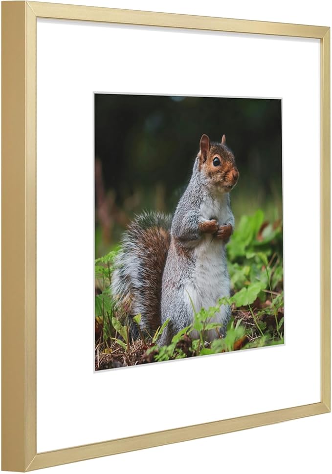 Golden State Art 12x12 Picture Frame 3 Pack - Aluminum Frames with 8x8 Removable Mats & Real Glass, Display 12x12 Posters or 8x8 Photos - Gold Gallery Wall Frames for Home Office Decor