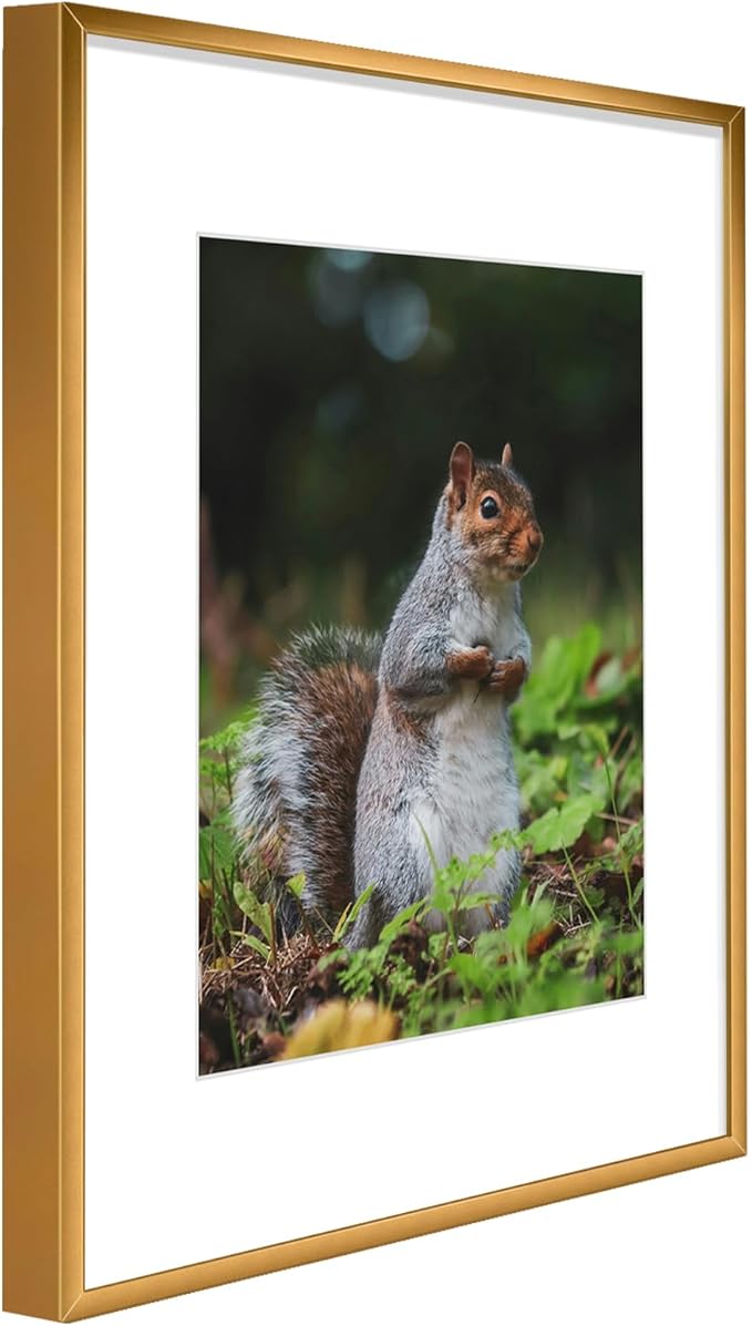 Golden State Art 11x14 Picture Frame 3 Pack - Aluminum Frames with 8x10 Removable Mats & Real Glass, Display 11x14 Posters or 8x10 Photos - Bronze Gallery Wall Frames for Home Office Decor