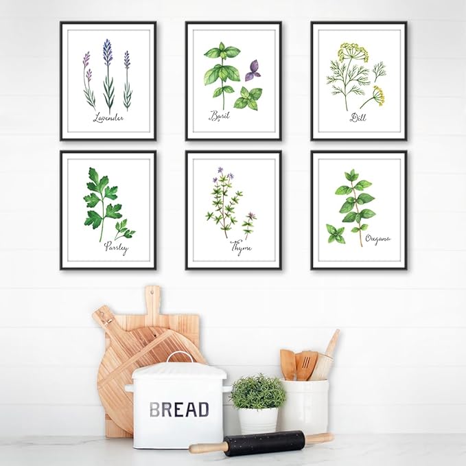 Botanical Prints Kitchen Herbs Wall Art - (Set of 6) - Unframed - 11x14