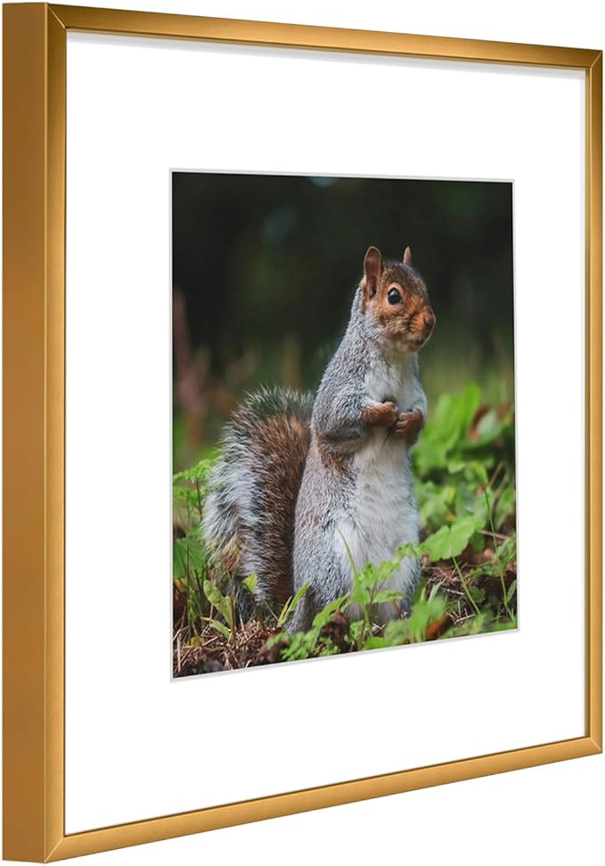 Golden State Art 12x12 Picture Frame 3 Pack - Aluminum Frames with 8x8 Removable Mats & Real Glass, Display 12x12 Posters or 8x8 Photos - Bronze Gallery Wall Frames for Home Office Decor