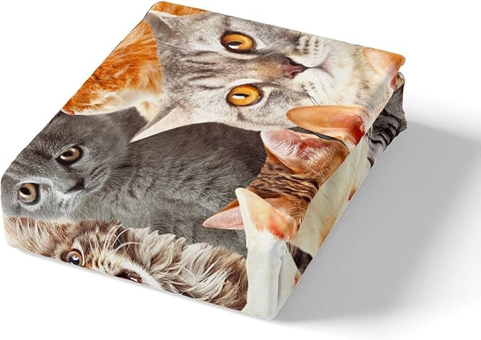 Feelyou Cat Comforter Set - Cat Lover Gifts, Bedding for Women & Kids, Cute Kitten Pattern Duvet Cover Set, Queen Size, Soft Lightweight (1 Bedspread + 2 Pillow Shams)