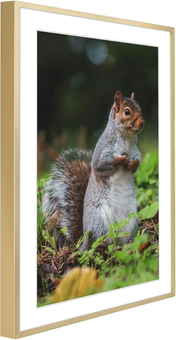 Golden State Art 13x19 Picture Frame 3 Pack - Aluminum Frames with 11x17 Removable Mats & Real Glass, Display 13x19 Posters or 11x17 Photos - Gold Gallery Wall Frames for Home Office Decor