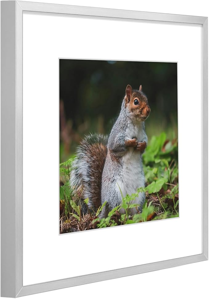 Golden State Art 12x12 Picture Frame 3 Pack - Aluminum Frames with 8x8 Removable Mats & Real Glass, Display 12x12 Posters or 8x8 Photos - Silver Gallery Wall Frames for Home Office Decor