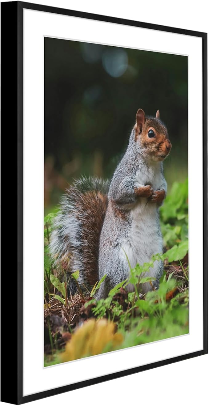 Golden State Art 13x19 Picture Frame 3 Pack - Aluminum Frames with 11x17 Removable Mats & Real Glass, Display 13x19 Posters or 11x17 Photos - Black Gallery Wall Frames for Home Office Decor