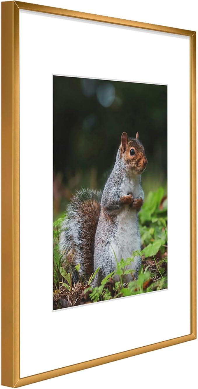 Golden State Art 16x20 Picture Frame 3 Pack - Aluminum Frames with 11x14 Removable Mats & Real Glass, Display 16x20 Posters or 11x14 Photos - Bronze Gallery Wall Frames for Home Office Decor