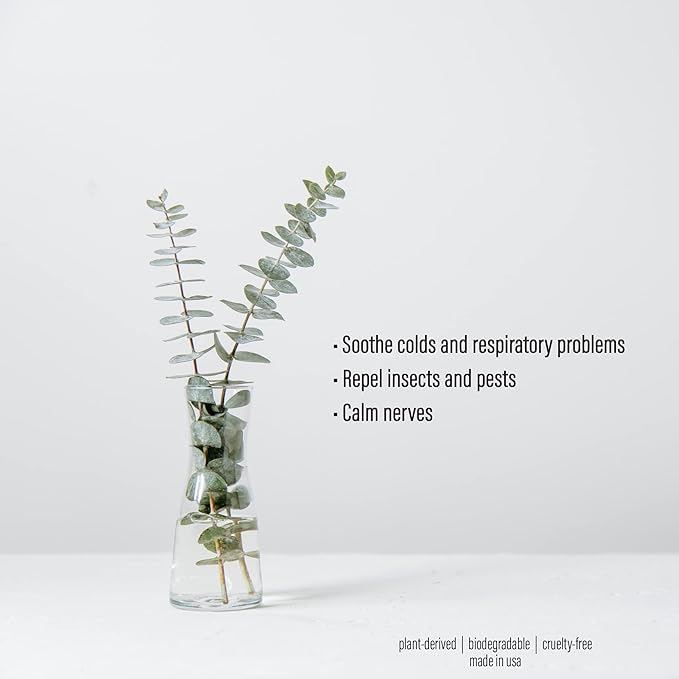 Pure Eucalyptus Oil Shower Mist and Steam Room Spray - Room Spray and Eucalyptus Spray for Shower - Premium Aromatherapy Eucalyptus Essential Oil Spray - 4 Ounce, 2 Pack