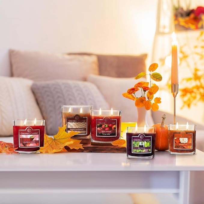 Colonial Candle Tibetan Sandalwood Scented Jar Candle, 2 Wick, 3.5 oz, Mottled Wax Candle (Pack of 4)