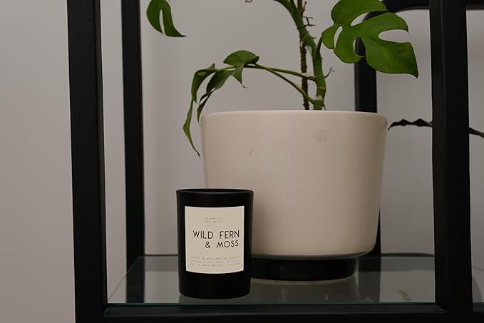 Leoben Co | Masculine Aromas | Small Batch | Soy Wax 9 oz | Scented Black Candles with Natural Essential Oils | Vegan (Wild Fern & Moss)