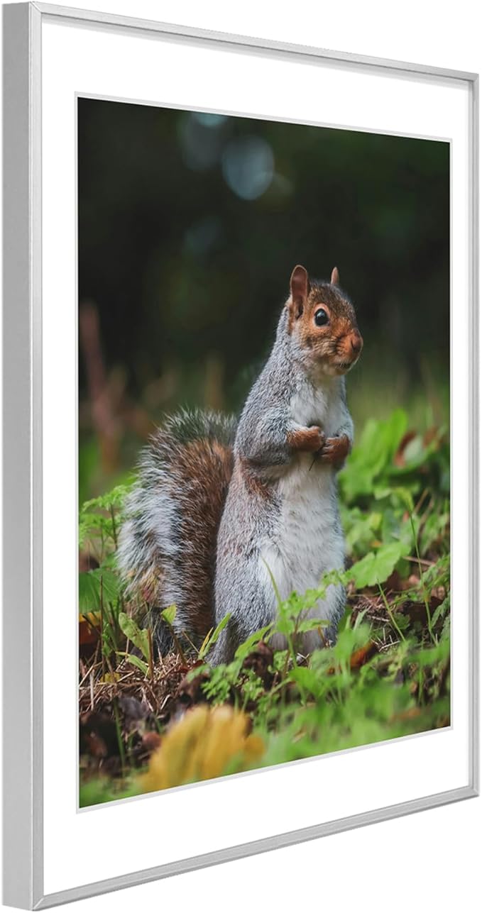 Golden State Art 18x24 Picture Frame 3 Pack - Aluminum Frames with 16x20 Removable Mats & Real Glass, Display 18x24 Posters or 16x20 Photos - Silver Gallery Wall Frames for Home Office Decor