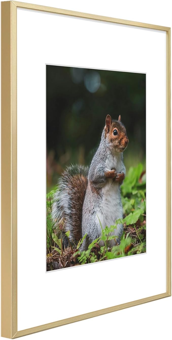 Golden State Art 16x20 Picture Frame 3 Pack - Aluminum Frames with 11x14 Removable Mats & Real Glass, Display 16x20 Posters or 11x14 Photos - Gold Gallery Wall Frames for Home Office Decor