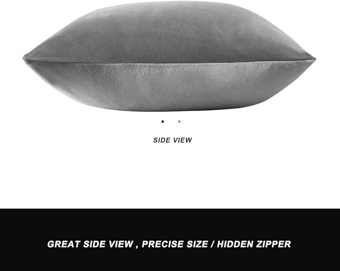 GIGIZAZA Decorative Throw Pillow Covers 20 x 20, Deep Grey Sofa Pillow Covers Velvet, Set of 4 Decor Square Cushion Covers