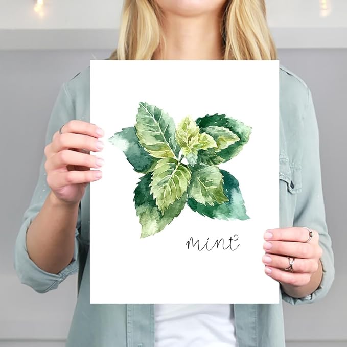 Kitchen Herbs Art Prints - Botanical Prints - (Set of 6) - Unframed - 11x14s | Dining Room Decor - Gifts for Chef or Cook - Restaurant Decor - Rosemary, Thyme, Mint, Parsley, Oregano, and Bay Leaves