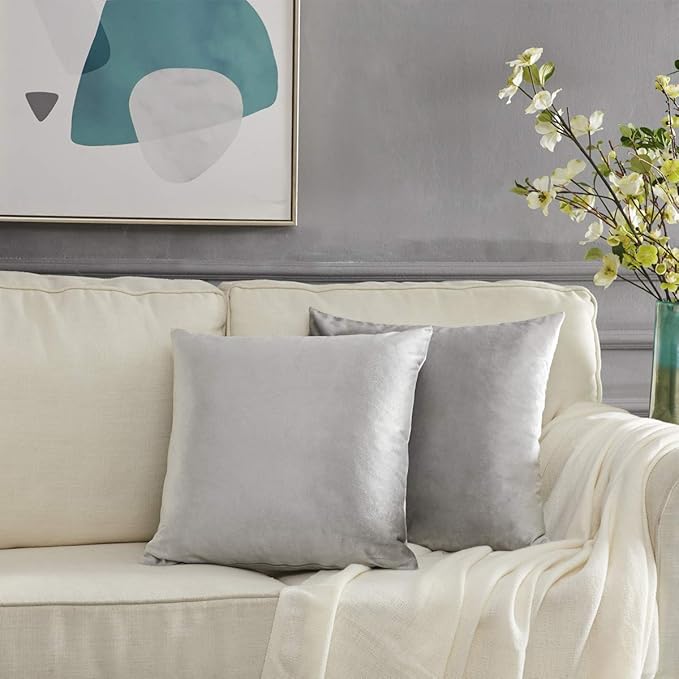 GIGIZAZA Décor Throw Couch Pillow Covers,Sofa Cushion Grey Pillow Covers,20 x 20 Pillow Velvet Cushion Covers (20x20inch(50x50cm)-4pcs, Silver Grey)