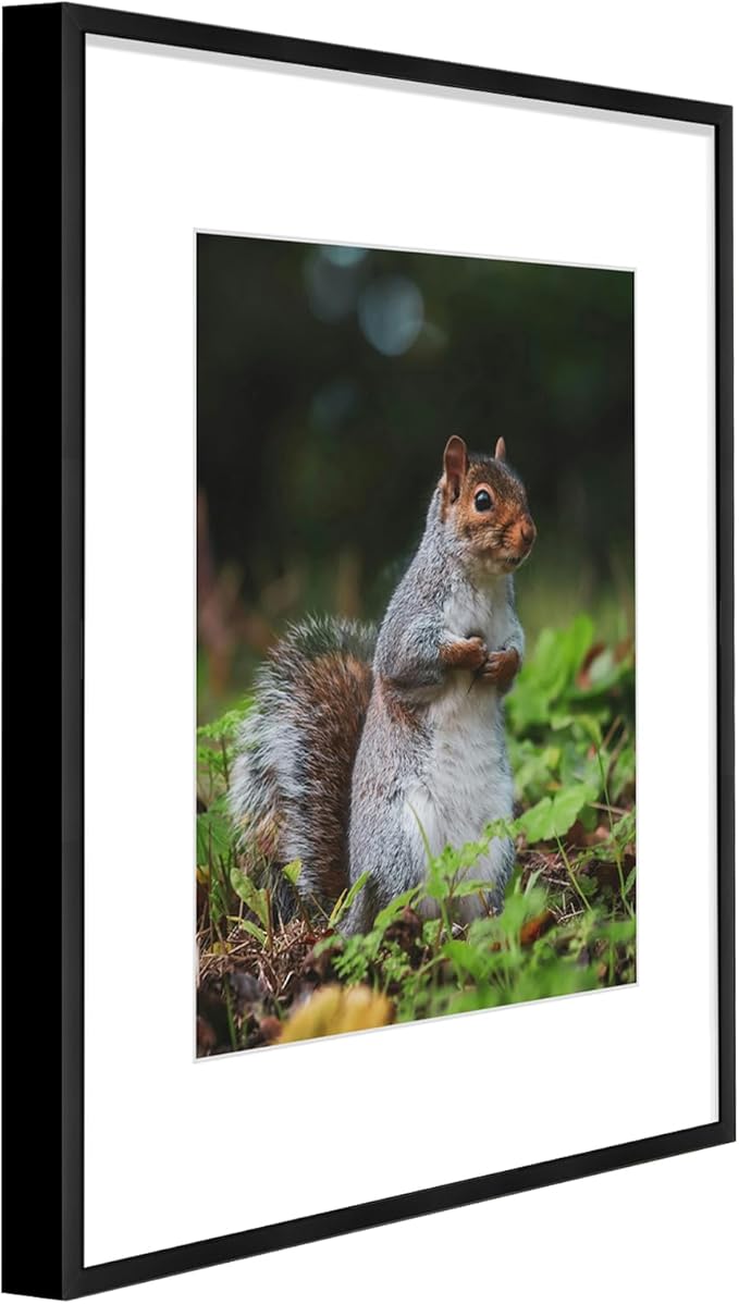 Golden State Art 12x16 Picture Frame 3 Pack - Aluminum Frames with 8.5x11 Removable Mats & Real Glass, Display 12x16 Posters or 8.5x11 Photos - Black Gallery Wall Frames for Home Office Decor