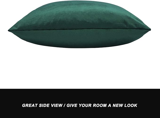 GIGIZAZA Decorative Throw Pillow Covers 16 x 16, Green Soft Pillow Covers Velvet,Set of 4 Decor Square Cushion Covers