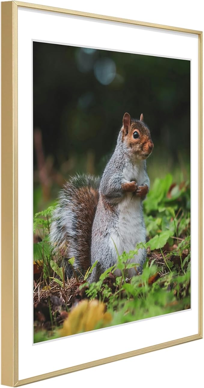 Golden State Art 18x24 Picture Frame 3 Pack - Aluminum Frames with 16x20 Removable Mats & Real Glass, Display 18x24 Posters or 16x20 Photos - Gold Gallery Wall Frames for Home Office Decor