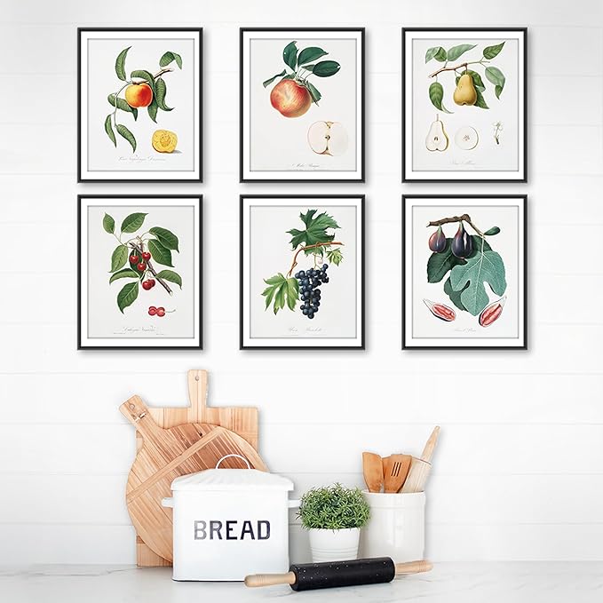 Vintage Fruit Art Prints - Kitchen Botanical Prints - (Set of 6) - Unframed - 11x14 | Wall Décor Enhancing Your Culinary Space with Classic Charm - Ideal for Kitchen, Dining Area, or Farmhouse Décor