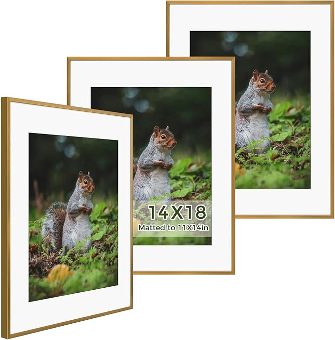 Golden State Art 14x18 Picture Frame 3 Pack - Aluminum Frames with 11x14 Removable Mats & Real Glass, Display 14x18 Posters or 11x14 Photos - Bronze Gallery Wall Frames for Home Office Decor