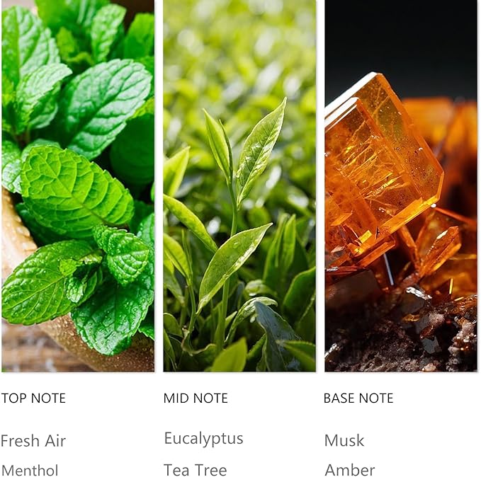 Luxury Waterless Diffuser Oil Infinity, Essential Scent Oil Usage Cold Air Waterless Diffuser, Scents Oils for Home Bottle120 ML Natural Flavour