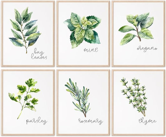 Kitchen Herbs Art Prints - Botanical Prints - (Set of 6) - Unframed - 11x14s | Dining Room Decor - Gifts for Chef or Cook - Restaurant Decor - Rosemary, Thyme, Mint, Parsley, Oregano, and Bay Leaves