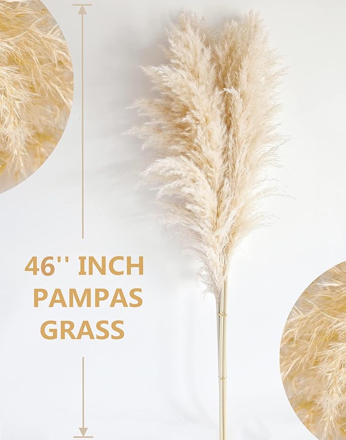 46" inch 10 Stems Natural Pampas Grass Decor Tall, Pompas Grass, Tall Pampas Grass for Weddingm, Farmhouse, Boho Home Decor (Beige)