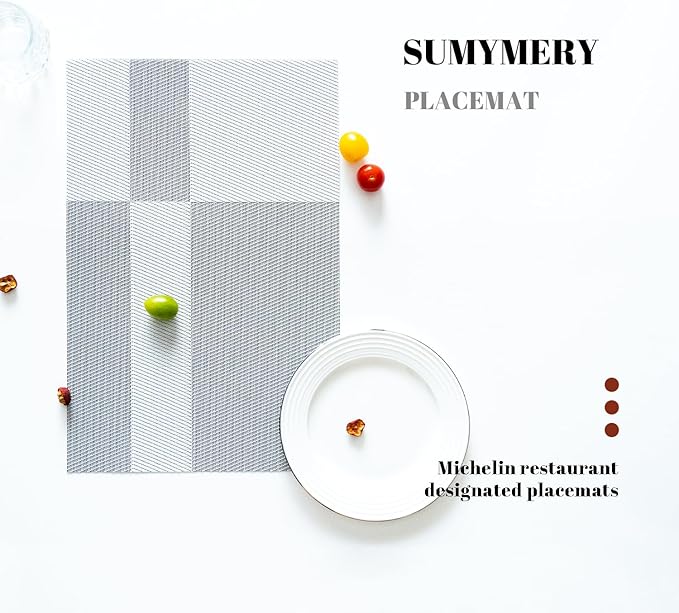 Placemats Set of 12 Vinyl/Plastic Woven Place Mats for Kitchen Table Indoor/Outdoor Washable Placemat Wipeable Dining Table Mats (Silver Cube,12)