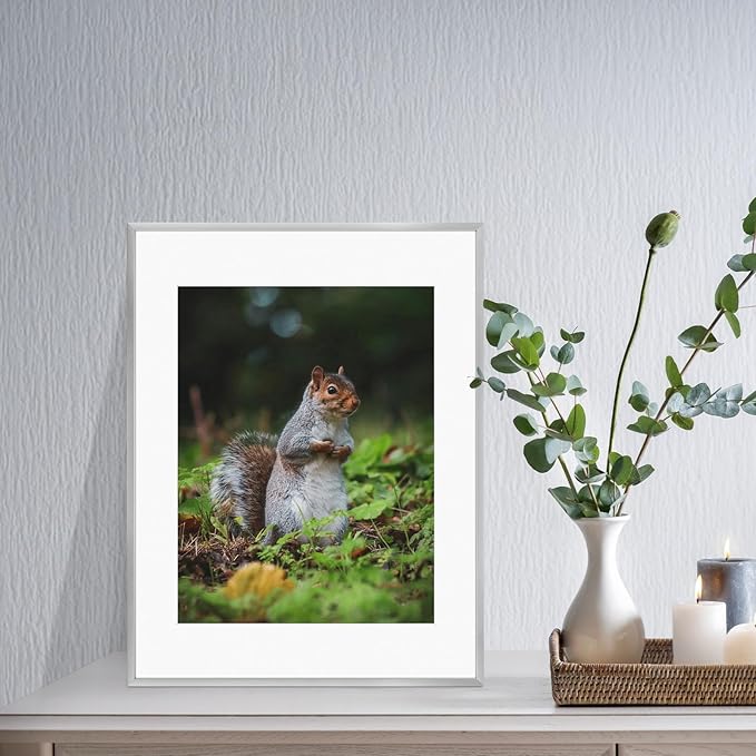 Golden State Art 14x18 Picture Frame 3 Pack - Aluminum Frames with 11x14 Removable Mats & Real Glass, Display 14x18 Posters or 11x14 Photos - Silver Gallery Wall Frames for Home Office Decor