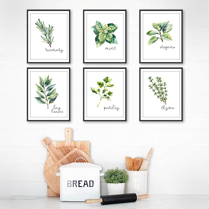Kitchen Herbs Art Prints - Botanical Prints - (Set of 6) - Unframed - 11x14s | Dining Room Decor - Gifts for Chef or Cook - Restaurant Decor - Rosemary, Thyme, Mint, Parsley, Oregano, and Bay Leaves