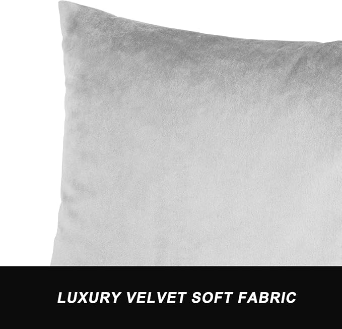 GIGIZAZA Décor Throw Couch Pillow Covers,Sofa Cushion Grey Pillow Covers,20 x 20 Pillow Velvet Cushion Covers (20x20inch(50x50cm)-4pcs, Silver Grey)