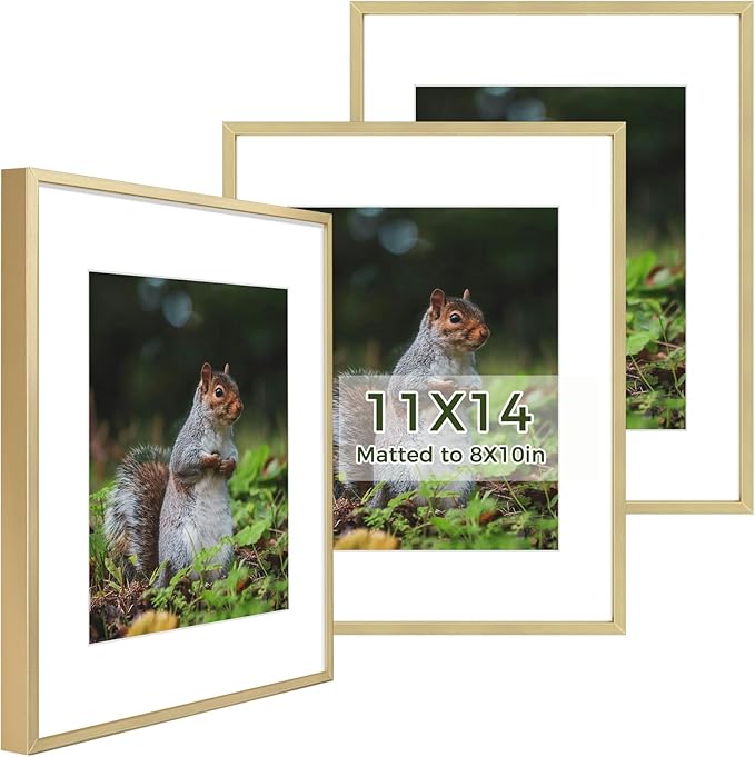 Golden State Art 11x14 Picture Frame 3 Pack - Aluminum Frames with 8x10 Removable Mats & Real Glass, Display 11x14 Posters or 8x10 Photos - Gold Gallery Wall Frames for Home Office Decor