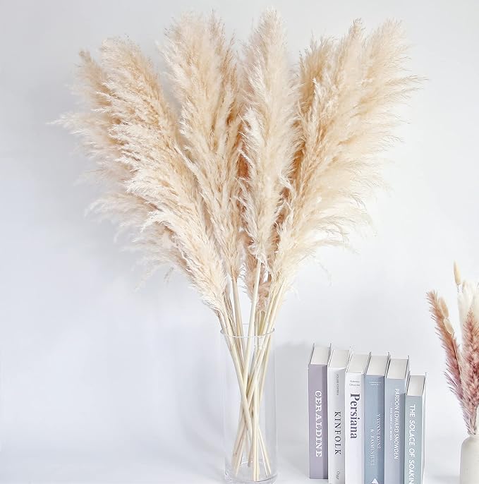 46" inch 20 Stems Natural Pampas Grass Decor Tall, Pompas Grass, Tall Pampas Grass for Weddingm, Farmhouse, Boho Home Decor (Beige)