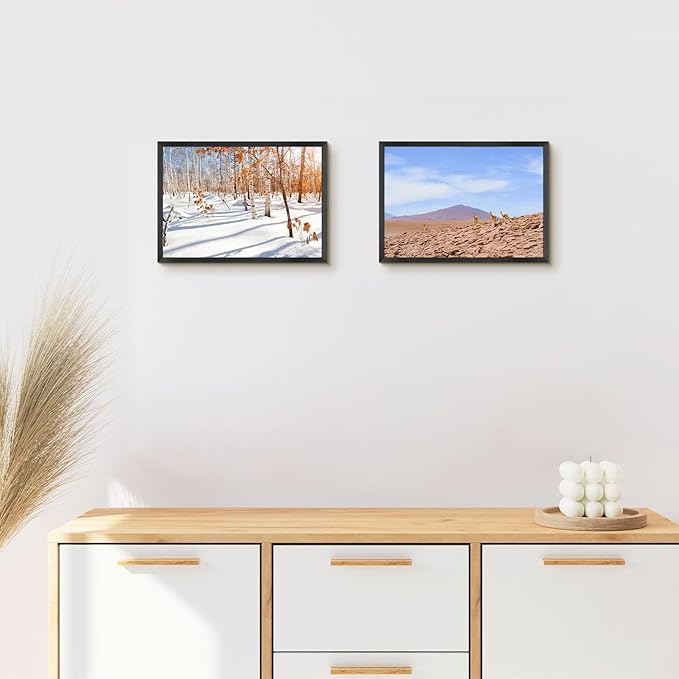 Golden State Art, A4 Aluminum Picture Frame, Black Metal Thin Poster Frames for 8.3x11.7 inch Photo, Acrylic Front, Wall Hook for Horizontal or Vertical Display, 3 Pack