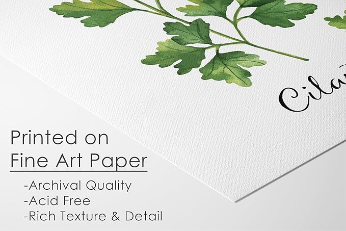 Kitchen Herbs Art Prints (Set of 6) - Unframed - 8x10s | Botanical Prints Wall Art | Kitchen Wall Décor | Kitchen Décor for Adding a Touch of Freshness to Your Kitchen Décor | Botanical Wall Art