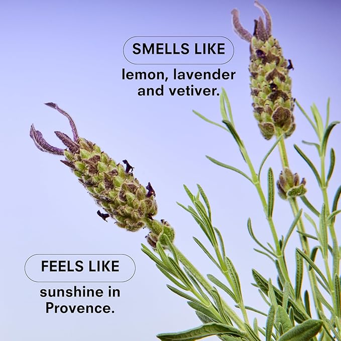 Boy Smells Lavender Candle - 8.5 oz - Luxury Candle with Lemon, Lavander, and Vetiver - Up to 50-Hour Burn - Cotton Wick